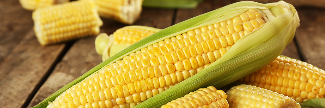Maïs : composition et valeur nutritionnelle