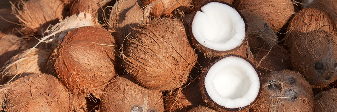 Noix de coco : calories et composition nutritionnelle