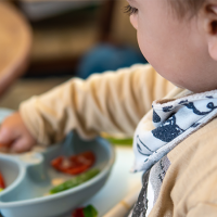 Une revue de la littérature identifie sept bonnes pratiques pour les interventions cherchant à augmenter la consommation de légumes chez les enfants